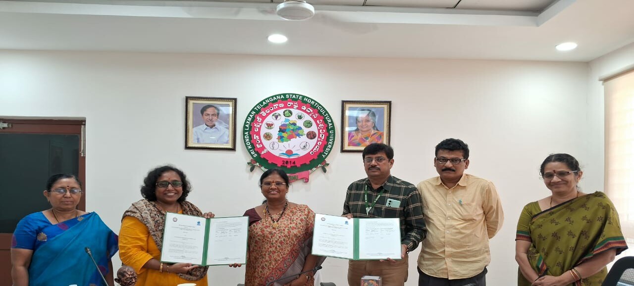 Centre for Entrepreneurship Development Banner